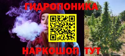 эйфоретик Пугачёв